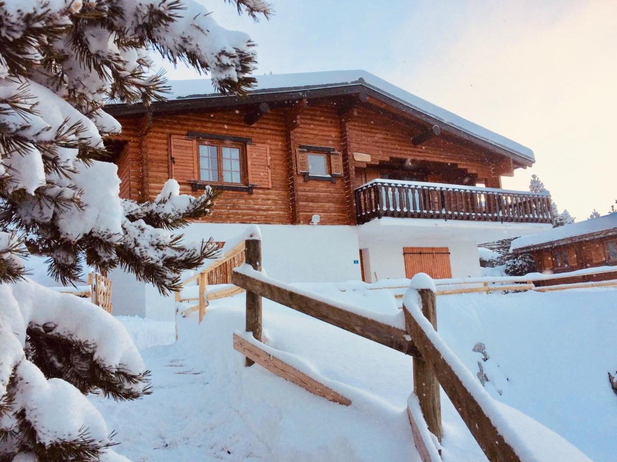 Ei Chalet Du Pere Castor Βίλα Bolquere Pyrenees 2000 Εξωτερικό φωτογραφία